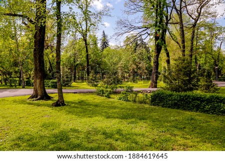Park in the city of Almaty in the spring