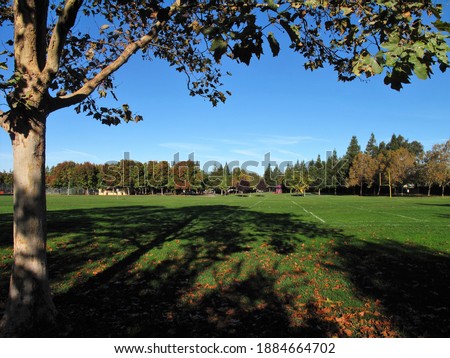 Park green grass blue sky Pleasanton California Ken Mercer Park