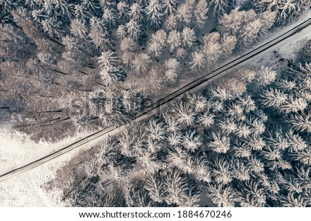 snowy forest. beautiful snowy  forest. drone photography