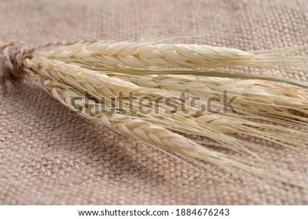 selective focus. golden ears of wheat on sacking. rustic view. copy space.