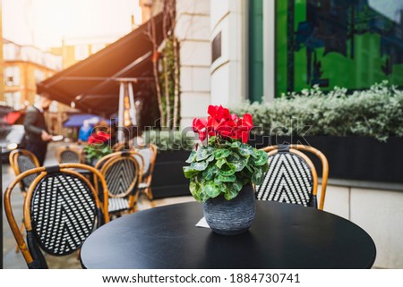 Outdoor empty coffee and restaurant terrace with potted plants tables and chairs in london indie and hipster style