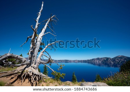 Crater lake national park in summer, the deepest lake in USA.