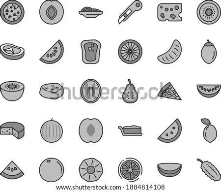 Thin line gray tint vector icon set - stationery knife vector, piece of cheese, pizza, slices onion, cake slice, bacon, meat, orange, sandwich, plum, water melon, half peach, tangerine, kiwi, lemon