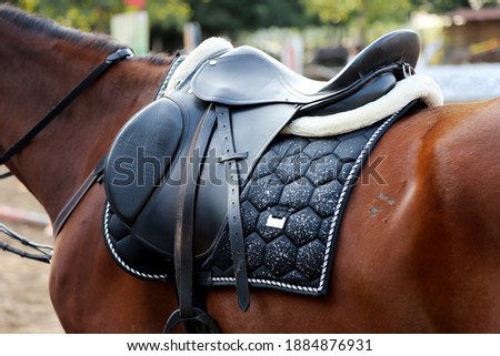 Old leather saddle with stirrups for show jumping race Saddle on a back of a sport horse. Equestrian sport event background Royalty-Free Stock Photo #1884876931