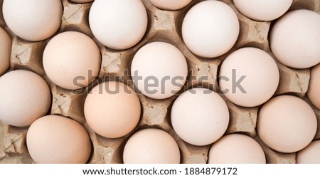 raw eggs in a tray. as a background to the background.