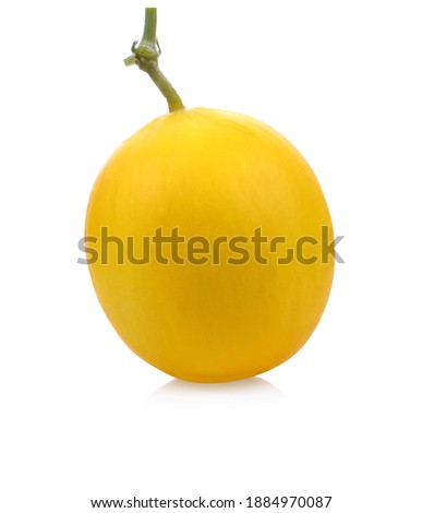 Ripe fresh honeydew melon. Whole melon and slices. Realistic vector illustration. Isolated on white background