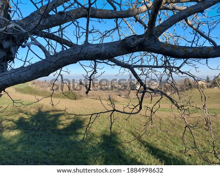 In the foreground the branches of a tree in winter. In the background the hills, the fields, a small village in the middle of the photo. Sunny day. Italian hills.