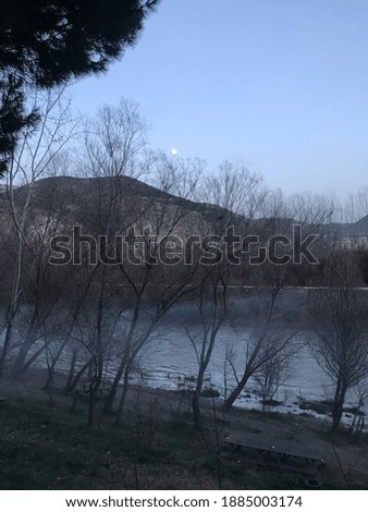 deciduous trees, stream and moon