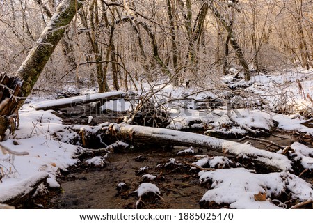 Snow covered log and wooden bridge over rocky stream running through snow and ice in wooded area of Shamokin Springs