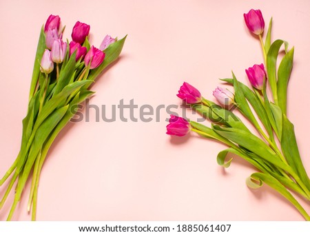 Spring composition, tulips arrangements on a pink pastel background, top view, frame, border, pretty card with flowers for Mothers day, wedding or happy event copy space .