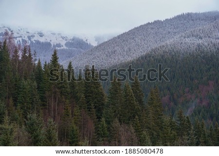Corrected. Idyllic winter mountain landscape. Foggy. Nature concept.