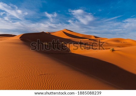 Dune landscape of the Sahara near Merzouga (Erg Chebbi), Morocco Royalty-Free Stock Photo #1885088239