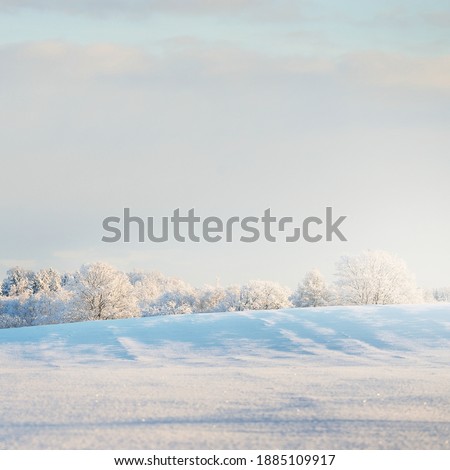 Panoramic aerial view of snow-covered forest hills on a clear day. Morning fog. Mighty trees in a hoarfrost. Winter wonderland. Seasons, ecology, global warming, ecotourism, christmas vacations