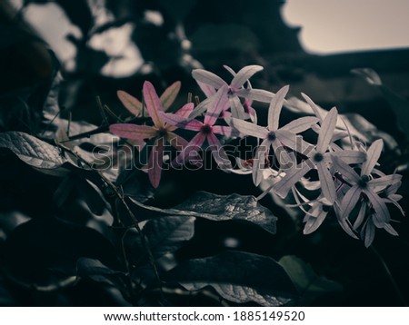 
bunch of purple flowers with fresh green leaves