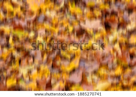 Fallen leaves on the ground blurred