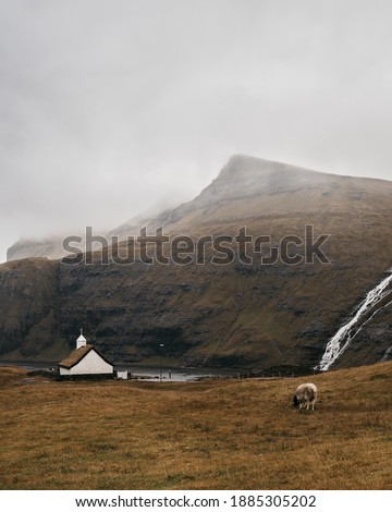 Foggy autumn landscape with sheep on brown field, church and waterfalls on background