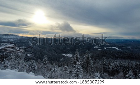 Black Forest by Winter with snow