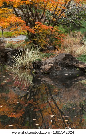 Autumn colors reflected in still water