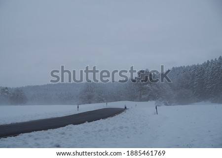 landscape photo in winter with snow, fog and trees