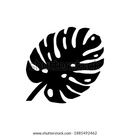 Silhouettes of monstera leaves isolated on white background. vector EPS10.