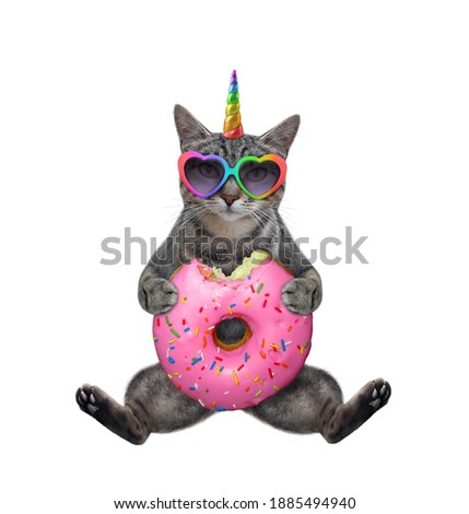 A gray cat unicorn in shaped sunglasses sits with a pink donut. White background. Isolated.
