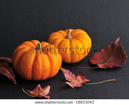 pumpkins on the black background