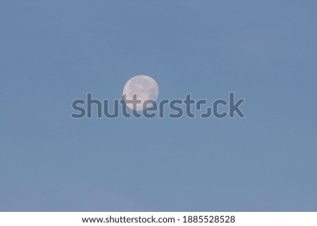 Almost full moon in the early morning sky