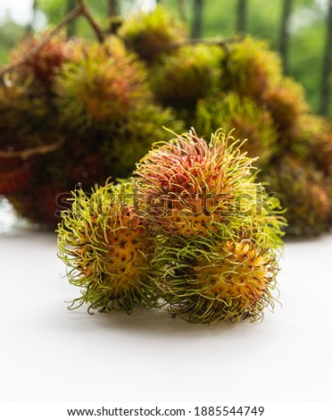 rambutan three fruits hairy asia fruit on blurry background of fruit branches