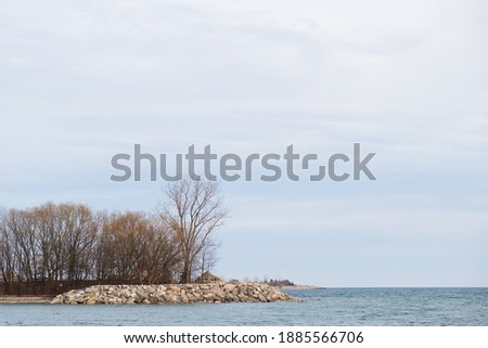 Trees on the calm sea or lake with light-steel-blue sky