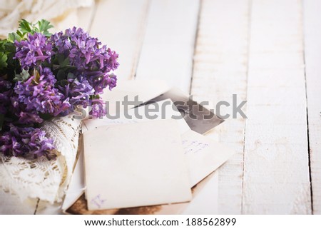 Vintage  photos, wild flowers on wooden background. Selective focus.