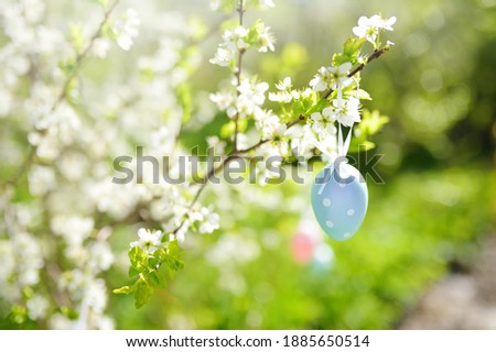 Close-up photo of multicolored easter eggs hanging on a branch of a blossoming apple tree during traditional egg hunt. Party for children in spring park on Easter day.