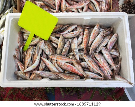 Fresh red mullets fish at the market
