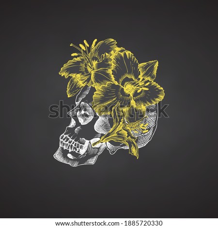 Hand drawn sketch human skull in wreath of flowers. Yellow lilies Funny character Chalk graphic Engraving isolated on chalkboard background Vintage style Vector illustration