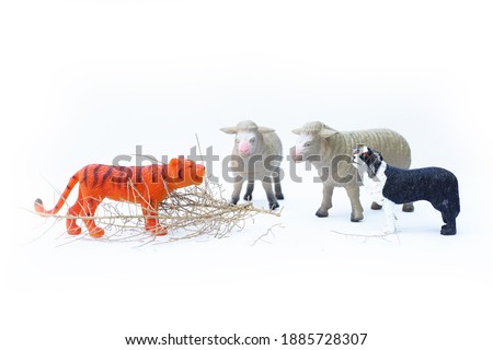 A tiger, a dog and 2 sheep are standing on white