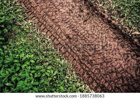 Tyre track on dirt sand or mud, Picture in retro or grunge tone. Car drive on sand. off road track. Track on grass field. Track in farm. Royalty-Free Stock Photo #1885738063