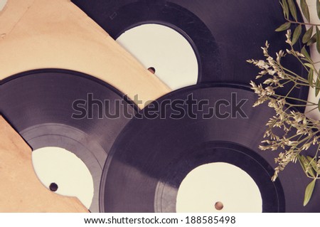Vintage vinyl records in envelopes and dried flowers on a light table