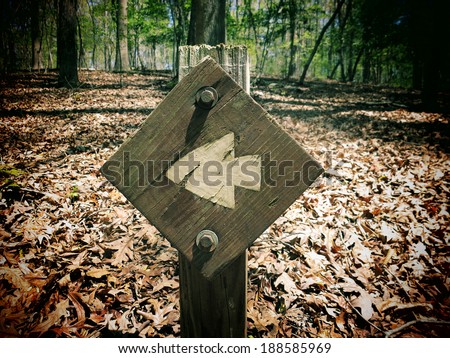 A filtered photo of a trail marker sign with an arrow pointing to the correct direction.