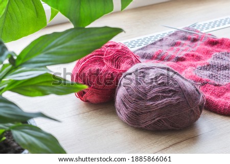 On the window are two clews of multi-colored wool thread and knitting, next to a houseplant. The concept of home comfort and warmth, hobbies, handicrafts, traditional craft.