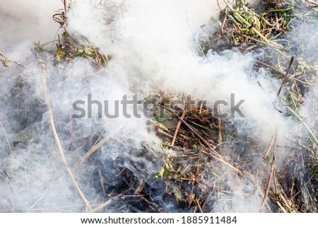 Fire in the meadow, billowing thick smoke, farmers burning dry grass contributes to global warming