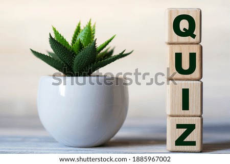 QUIZ - word on wooden cubes on a light background with a cactus. Business concept
