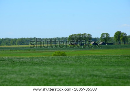 Landscape of green fields with cottage between trees in summer time. Stock Photo