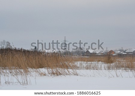 The coastline with dry reeds and the silhouettes of houses behind them. Seasonal winter atmosphere in bad, cloudy weather. Gray december landscape.