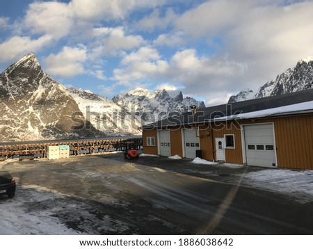 The beautiful view of cod fish at the drying racks and traditional Norwegian house rorbu with background of snowy rocky mountain, Lofoten, Norway