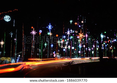 Dozens of colorful decorative lights hanging from the trees on street, with a light trail at the bottom of the view, shot at night in landscape composition