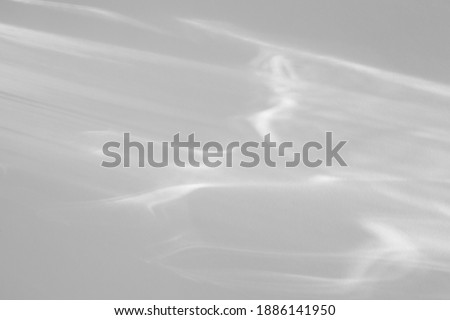 Blurred water texture overlay effect for photo and mockups. Organic drop diagonal shadow and light caustic effect on a white wall. Shadows for natural light effects Royalty-Free Stock Photo #1886141950