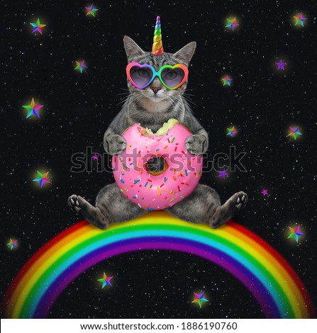 A gray cat unicorn in heart shaped sunglasses sits with a pink donut on the rainbow at night.
