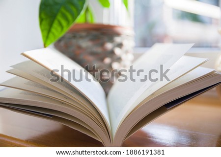 An open book by the window, reading a book Royalty-Free Stock Photo #1886191381