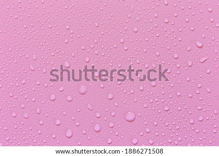 Water droplets on a pink background. For as a background drop on the product.