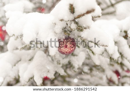 Christmas tree branches covered with snow, Christmas decorations. Christmas and New Year.