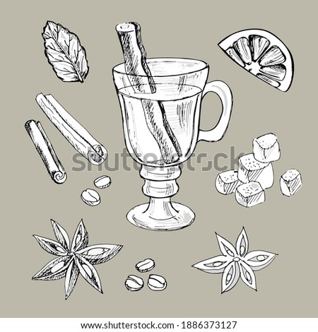 Sketch of a glass with mulled wine and ingredients around: mint, citrus, cinnamon, star anise and pieces of sugar.